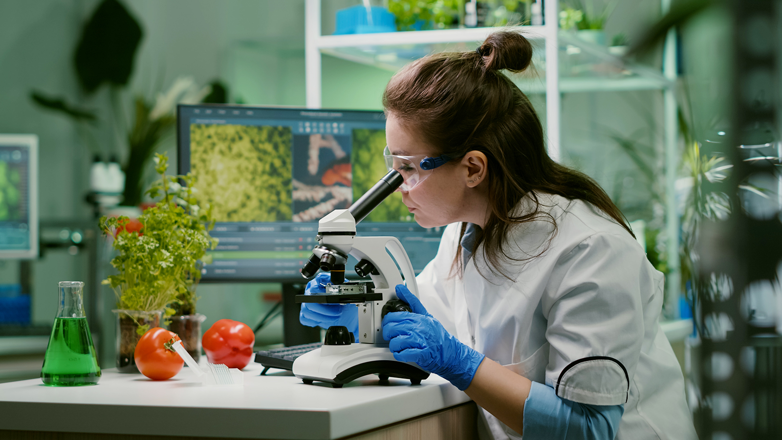 bsc biotechnology course